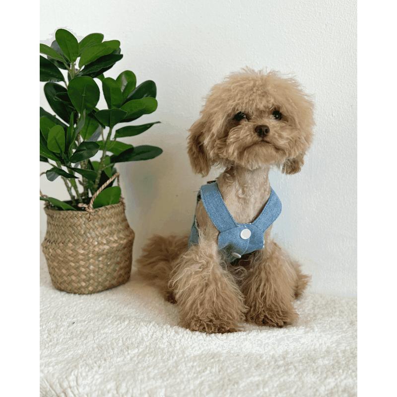 Cute Summer Denim Dog Dress 4