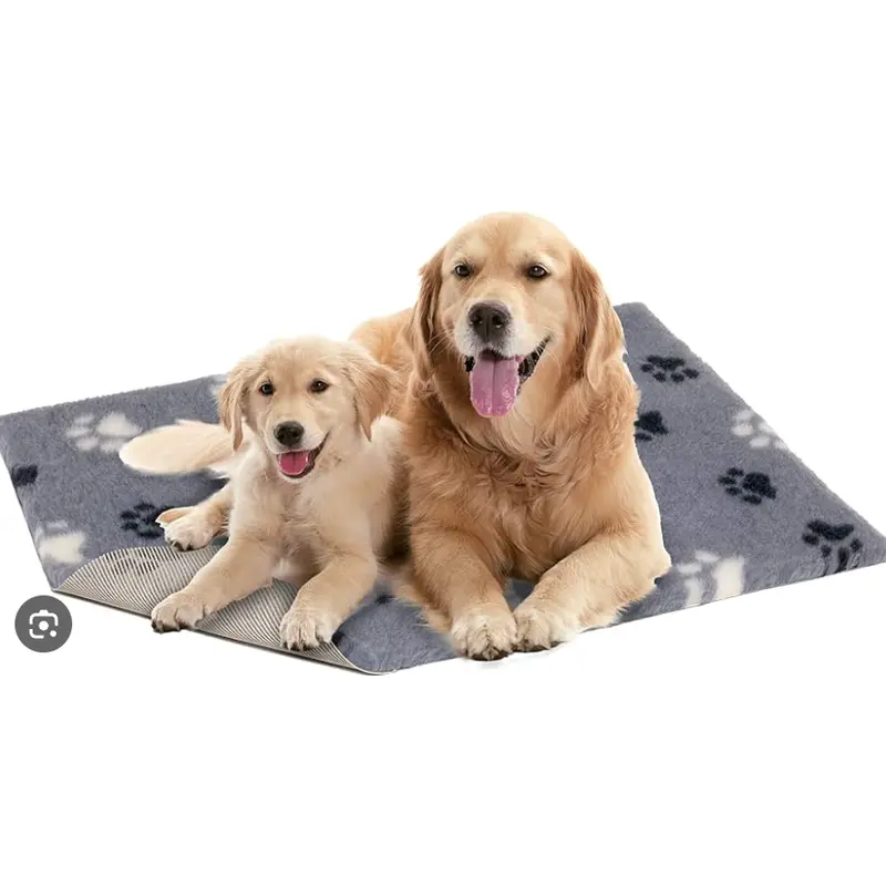 Pet Life - Vet Bed - Charcoal with Blue and White Paws 4