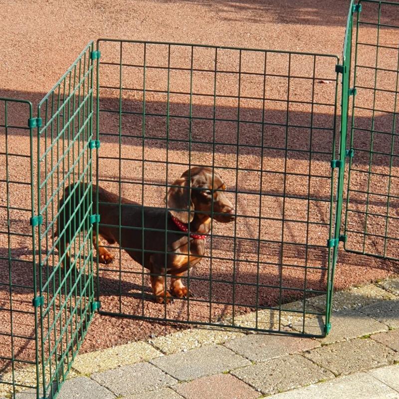 Folding Dog Fence - 60cm High (50mm x 50mm Mesh) Ideal for Puppy/Small Dogs 0