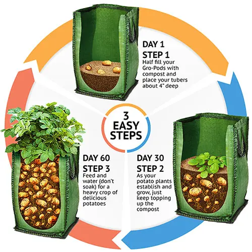Grow Your Own Patio Potato Selection, with Three Varieties of Potatoes, Plus Grow-Pods and Fertiliser 1