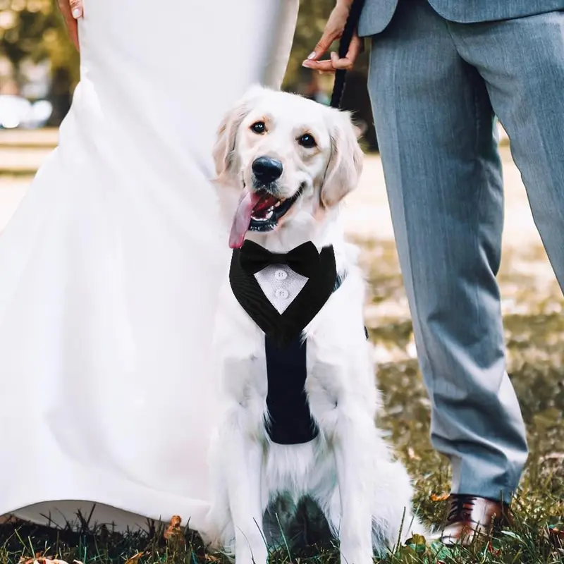 Dog Tuxedo, Formal Dog Wedding Bandana Adjustable Pet Collar with Bow, Small, Medium and Large Dog Wedding Clothing, Birthday Gifts for Dogs 2