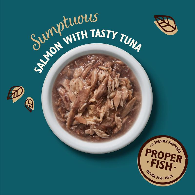 Lily's Kitchen Shredded Fillets Multipack - Grain Free Natural Adult Wet Cat Food - Chicken, Chicken & Mussels, Chicken & Ham, Tuna & Salmon (16 Tins x 70 g) 2