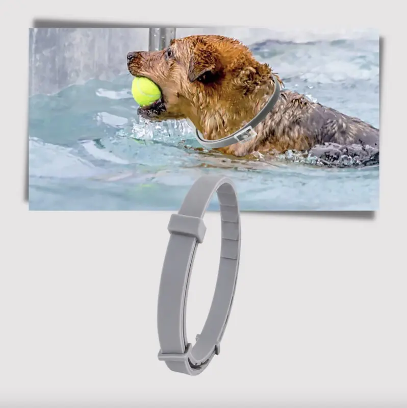 Anti-Flea Collar for Pets，Effective and Convenient for Puppy Love, Portal and Cost-effective 6