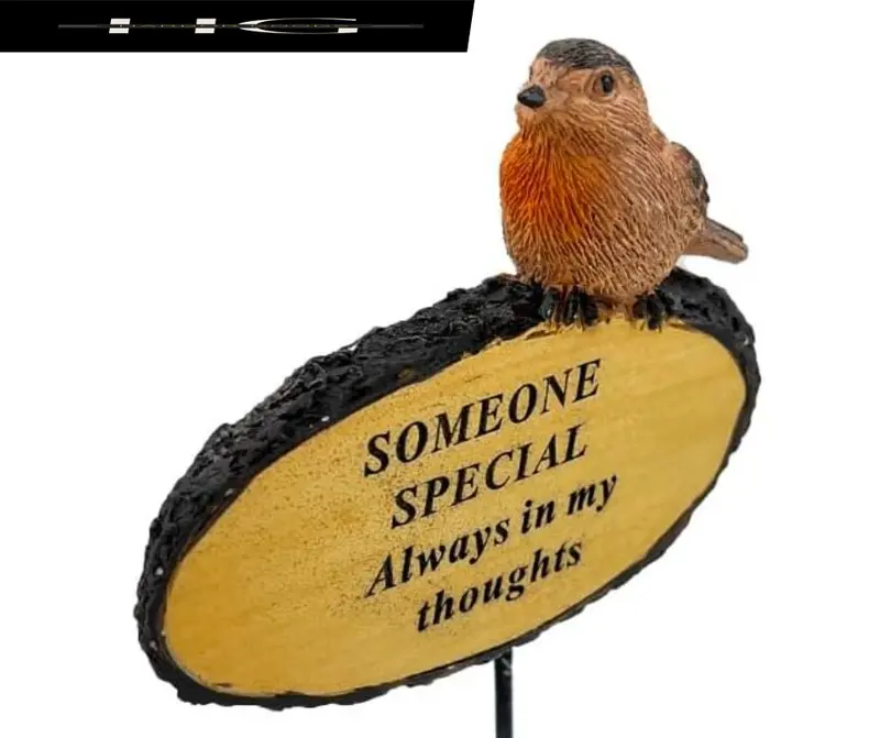Someone Special Always In My Thoughts Robin Bird Memorial Tribute Stick Graveside Flower Garden Plaque 3