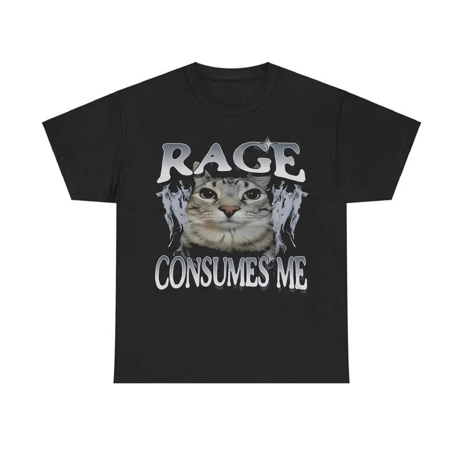 Rage Consumes Me Cat T-Shirt/Sweatshirt/Hoodie, Funny Cat Meme T-Shirt, Vintage Unhinged Cat Tee