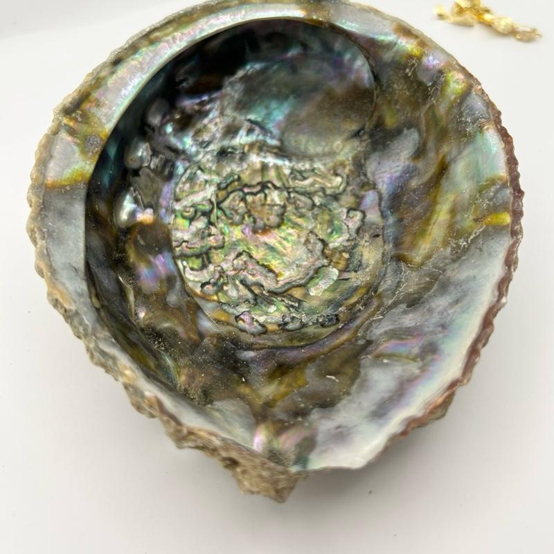 Abalone shell smudging and cleansing set  White sage Sage Scent Aroma 3