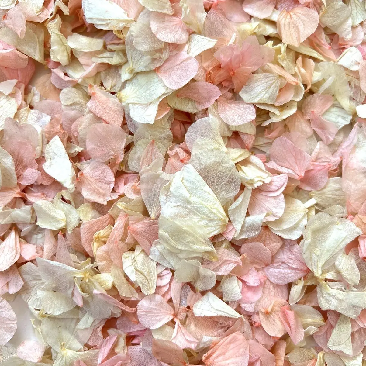 Pink Blossom Confetti (10 Handfuls)