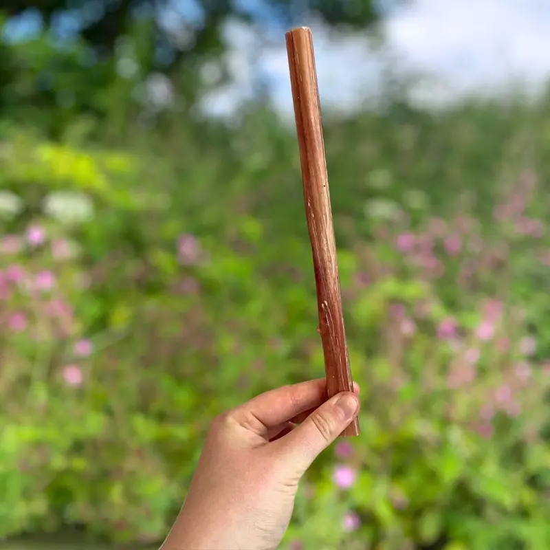 Natural Bulls Pizzle - Long Lasting chew 3