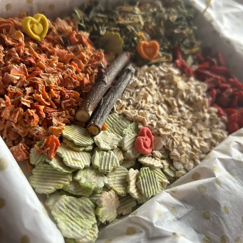 Guinea pig treat box 1