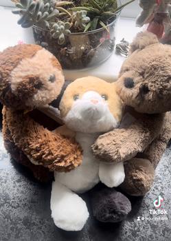 Product Review of Super Soft Eco Flopsie Plush Collection from L**a G**a 0