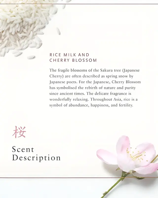 Rituals Fragrance Sticks Reed Diffuser 70ml from The Ritual of Sakura- Home Fragrance Room Kitchen Scented Perfume Aroma Freshener White 5