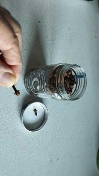 Product Review of Cloves (Organic) - 45 grams from G**5 0