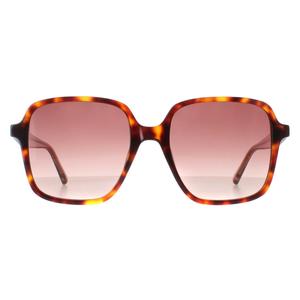 Ted Baker Sunglasses TB1688 100 Tortoise Pink Gradient for Female - Womenswear - Womens Sunglasses - Shades