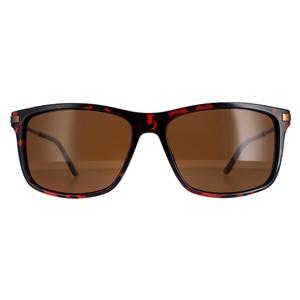 Timberland Sunglasses TB7177 52E Brown Brown for Male - Mens Sunglasses - Menswear