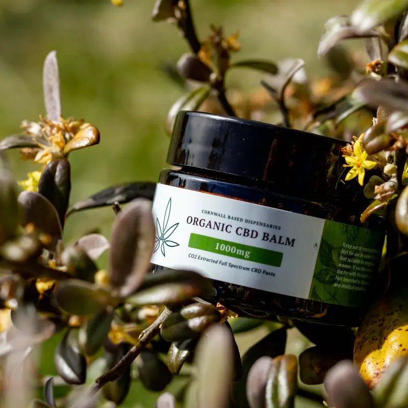 Cornwall Based Dispensaries, CBD Balm, Rub, Organic 500mg-1000mg CBD, Full Spectrum, muscle, joints, 30ml Body Care 3