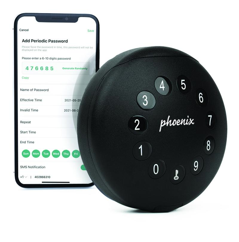 PHOENIX PALM KS0211E ELECTRONIC SMART KEY SAFE