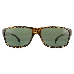 Timberland Sunglasses TB9064 52R Dark Havana Green for Male - Mens Sunglasses - Menswear