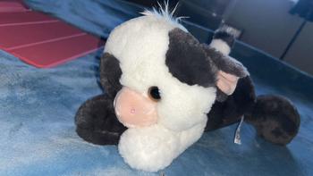 Product Review of Super Soft Eco Flopsie Plush Collection from b**3 0