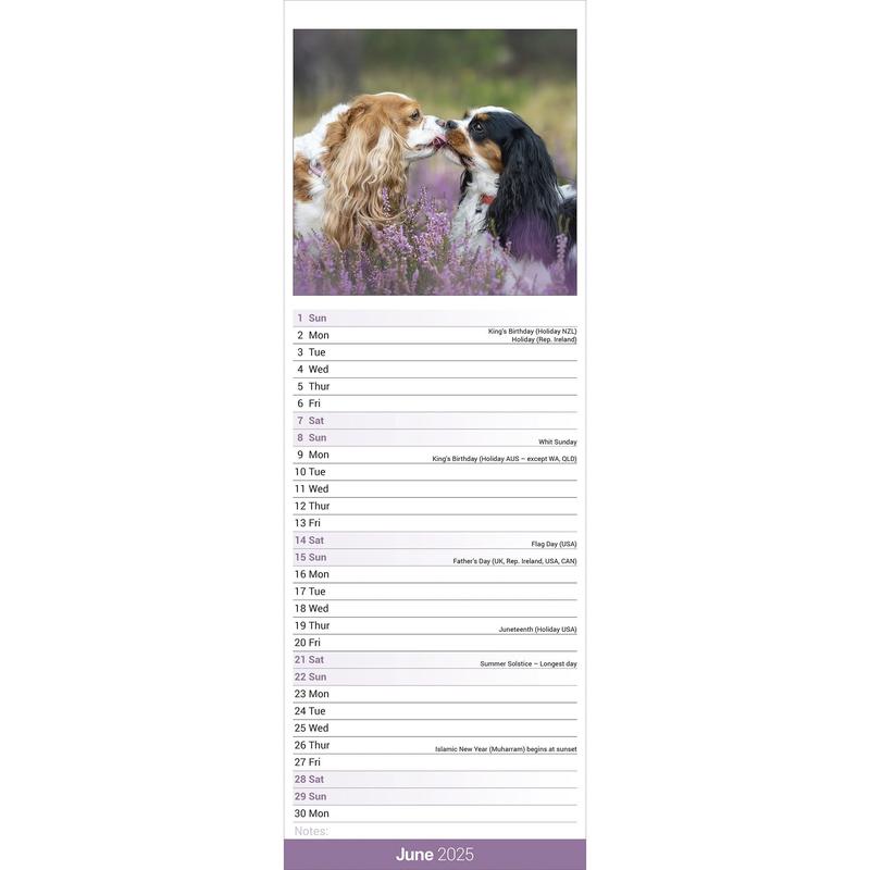 Cavalier King Charles Spaniel Calendar 2025 Slimline 2