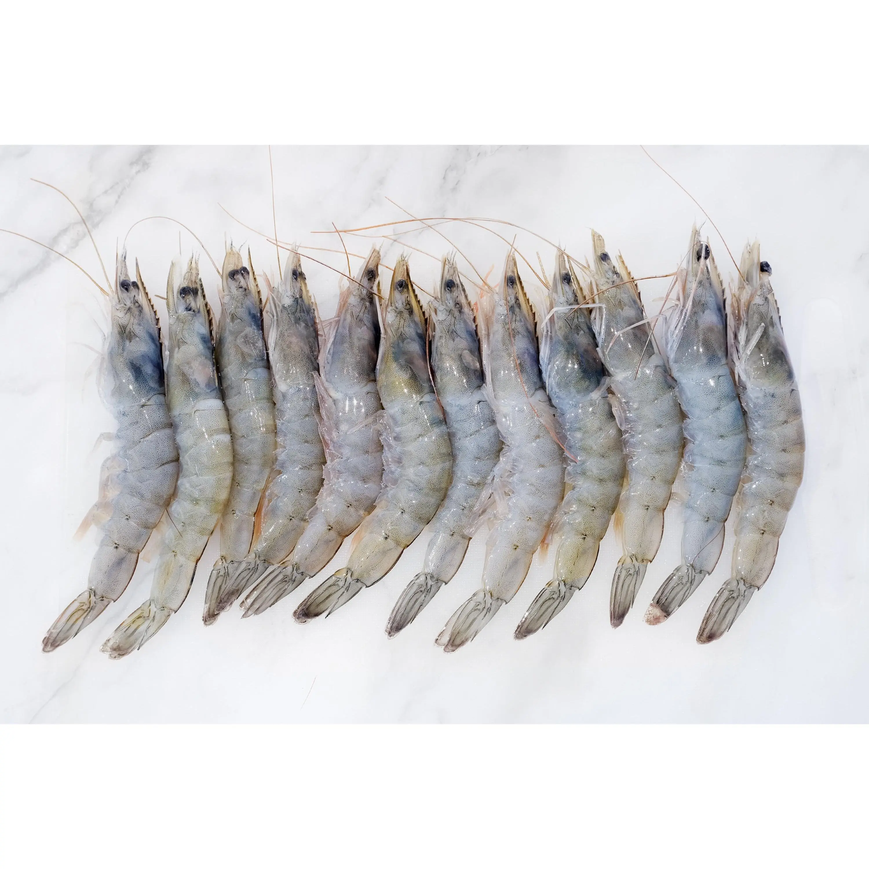 A3 Grade Frozen Large King Prawns