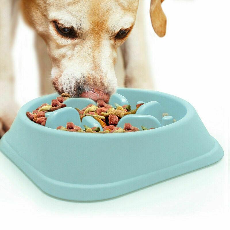 Dog Bowl Slow Feeder Pet Bowl Anti Bloating Anti Slip Feet Interactive Feed Dish 3