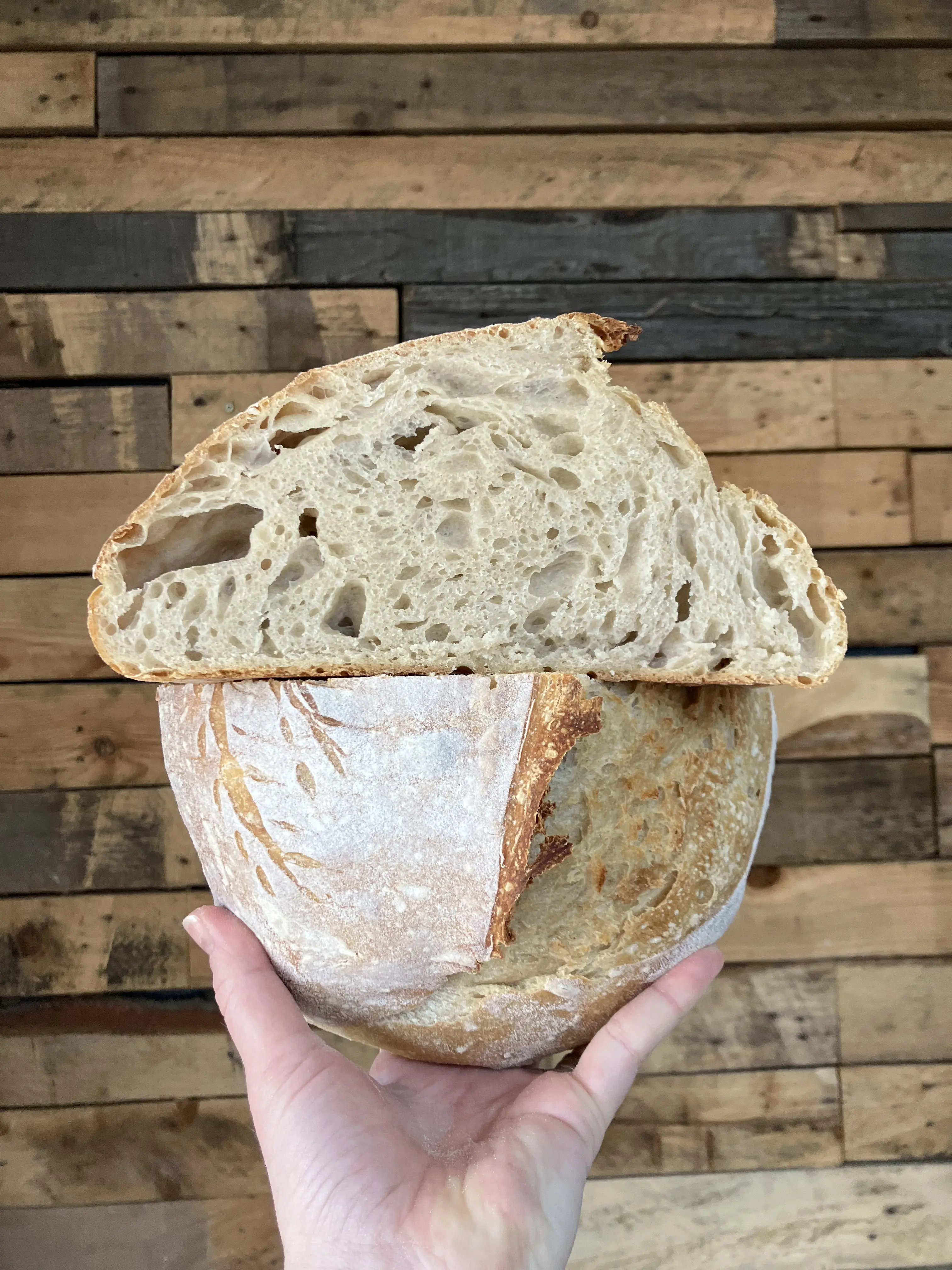 Fresh Sourdough Starter