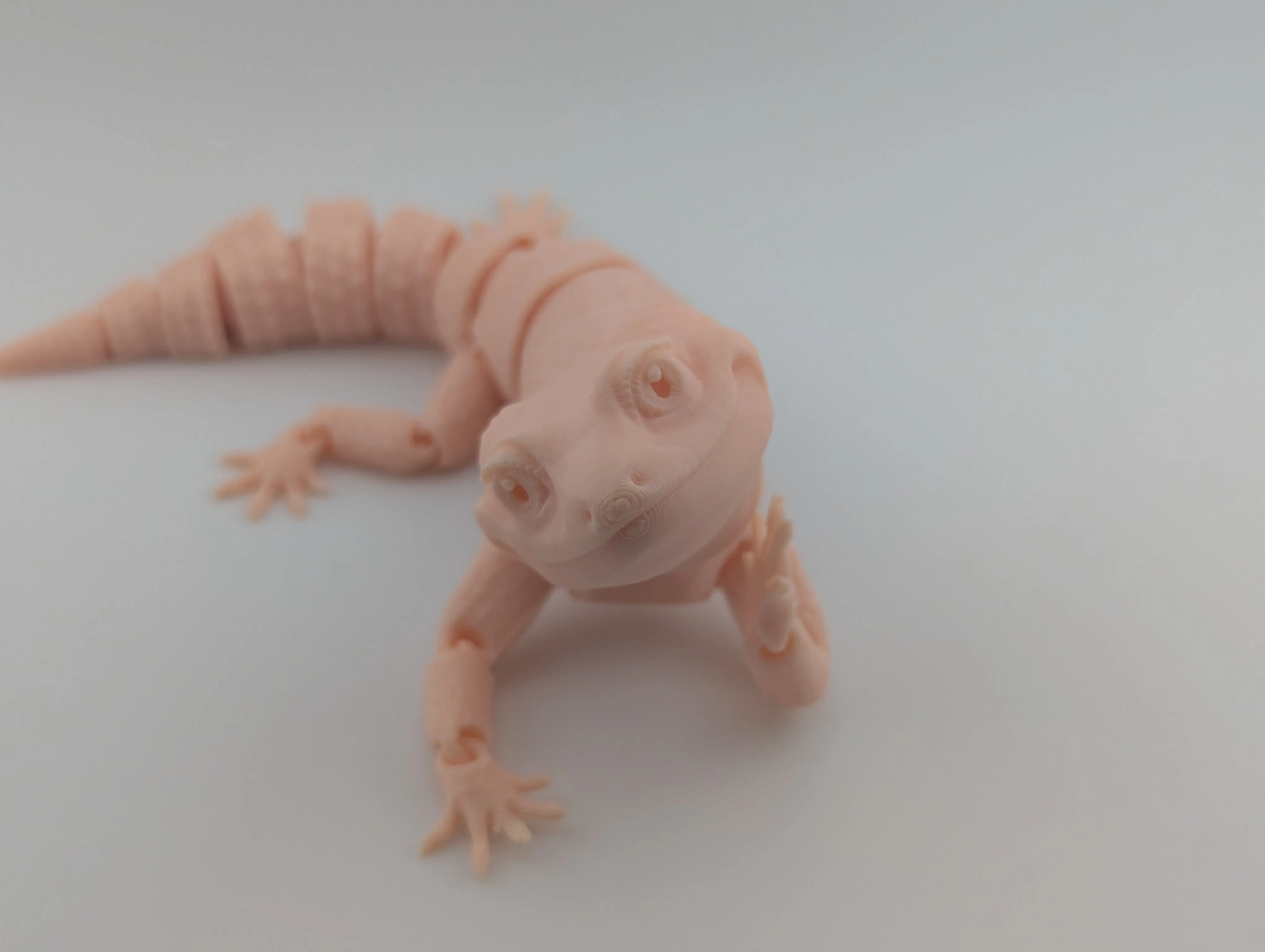 Leopard gecko Fidget Toy Random Colour