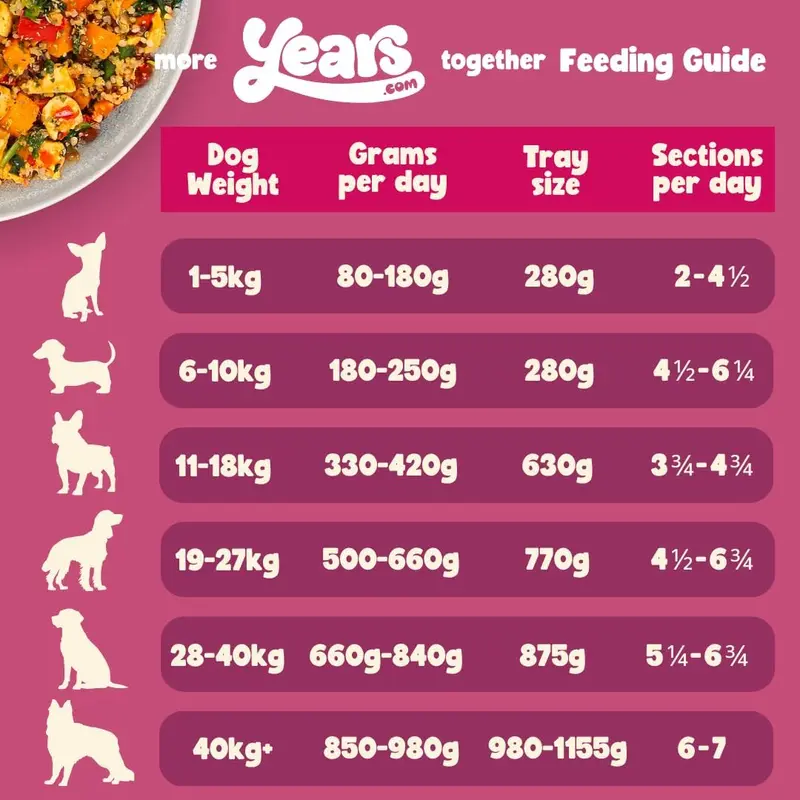 4x Steak & Kidney Mushroom Hotpot Adult Dog Food | Grain Free | Years Complete Nutritional Fresh Wet Dog Food |  Hypoallergenic 1