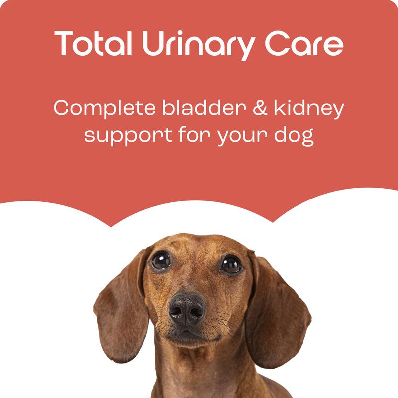 Puptons Urinary Care | Dog UTI, Incontinence & Cystitis Relief Tablets | Natural Ingredients | Advanced Bladder & Kidney Support for Dogs 5