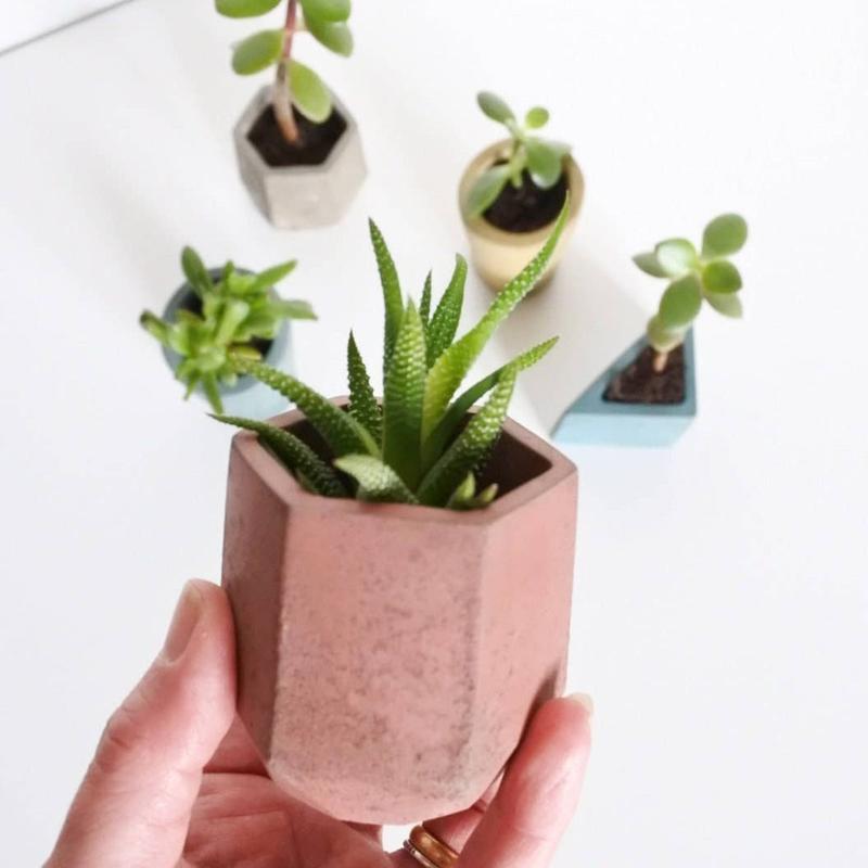 Pink Concrete Mini Hexagonal Vessel 0