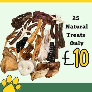 £10 25 Items Natural Dog Treat Box Grain Free Good Size Treats No Rawhide