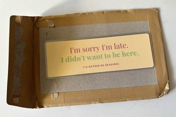 Product Review of Sarcastic reading bookmarks from K**s 0
