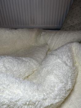 Product Review of Solid Color Fluffy Rug, Non-slip Water Absorbent Soft Carpet, Modern Rectangle Floor Mat for Home Living Room Bedroom Decor, Durable Large Living Room Rugs, Home Decor from G**d g**l 0