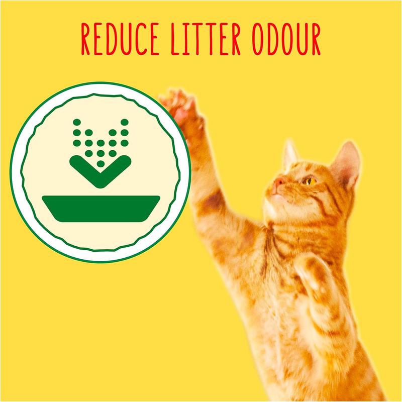 GO-CAT Indoor Chicken Dry Cat Food (750g x 1)  Pack 1 for Adult Cats - Complete and Balanced Meal 1