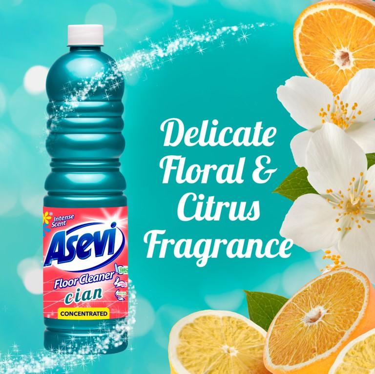 Asevi Concentrated Floor Cleaner Cyan 1L - Powerful Concentrated Formula for Effective Cleaning - Household 2