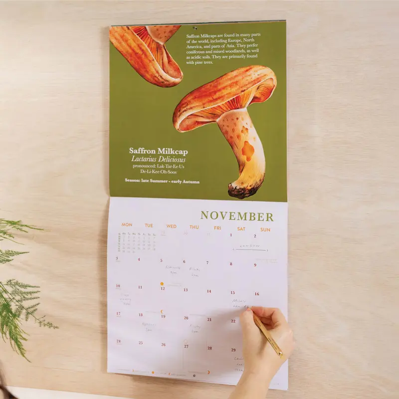 2025 Calendar | Mushroom Art | Large Square 1