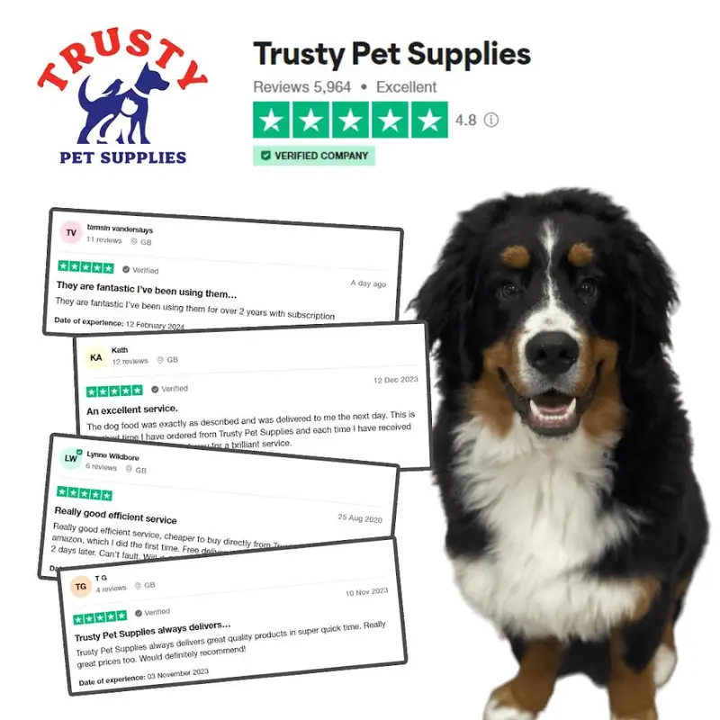 Leucillin Anti-septic Skincare Spray Range for Animals 3