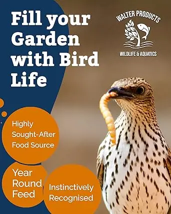 Walter’s Meal Worms (1L Tub) - Dried Mealworms for Birds, Bird Food in Stay Fresh, Easy Tubs 4