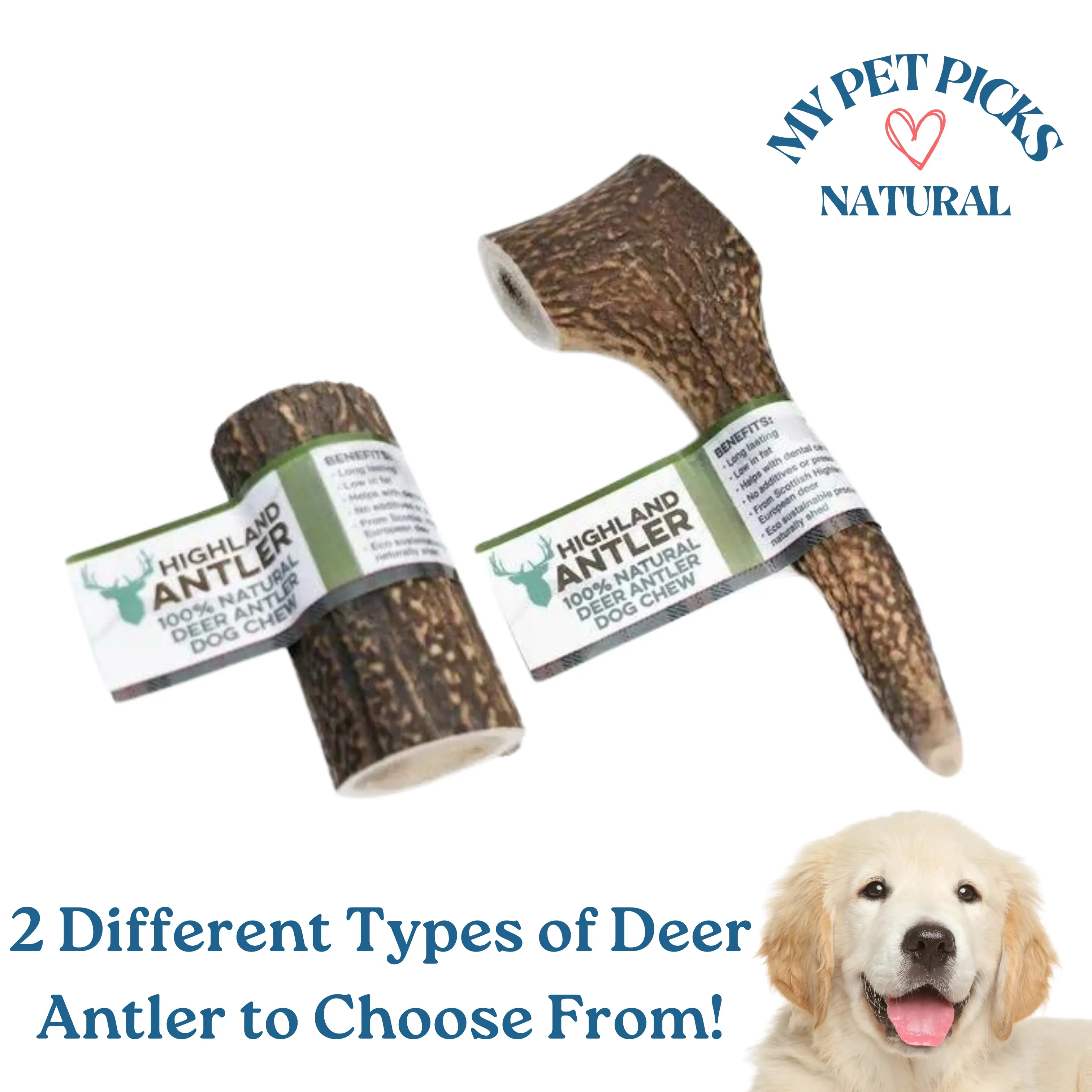 Deer Antlers - 2 Different Types to Choose From! - Natural Dog Chew