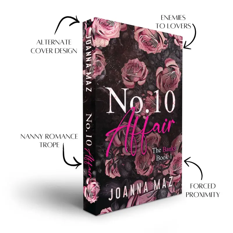 Number 10 Affair - paperback (alternate cover edition) 0