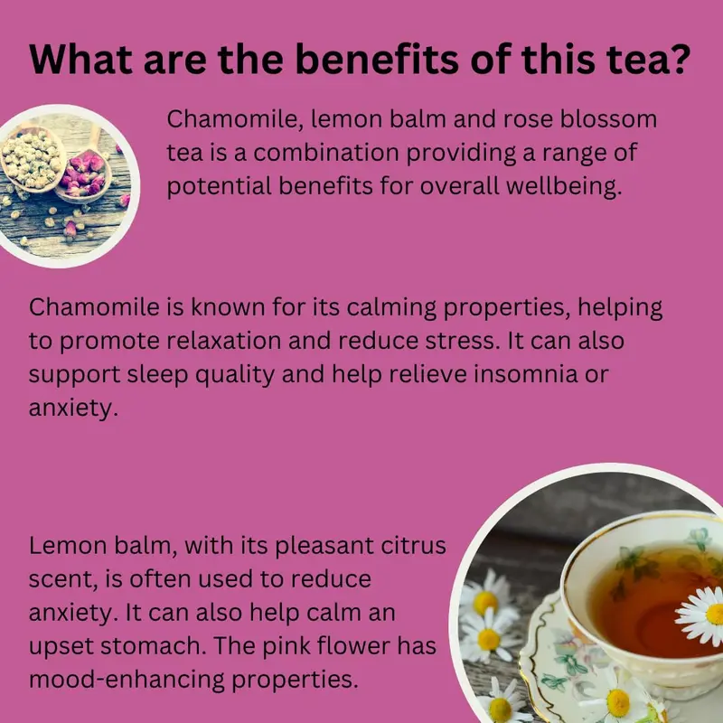 Premium GT Chamomile Lemon Balm Leaf Rose Blossom 20 Tea Bags Experience Tranquility with Premium Calming Tea Rose Flower Tea Bags for Relaxation and Sleepy Tea Premium GT Herbs & Fruits 3