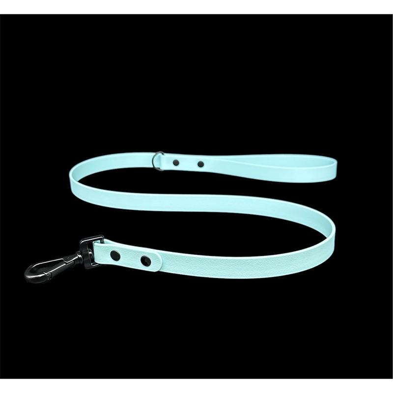 Biothane Dog Lead | Strong Webbing with Waterproof Rubber Coating | Sizes from S to L | All colours available 5