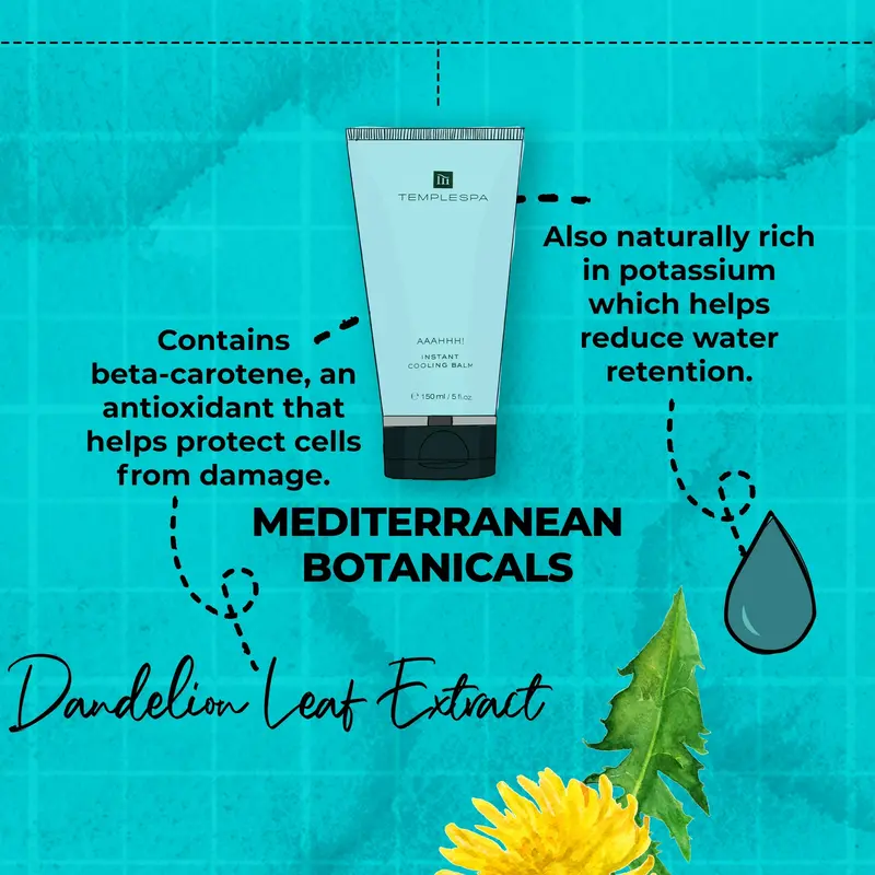 TEMPLESPA AAAHHH! Instant Cooling Balm For Aching Feet & Limbs 2