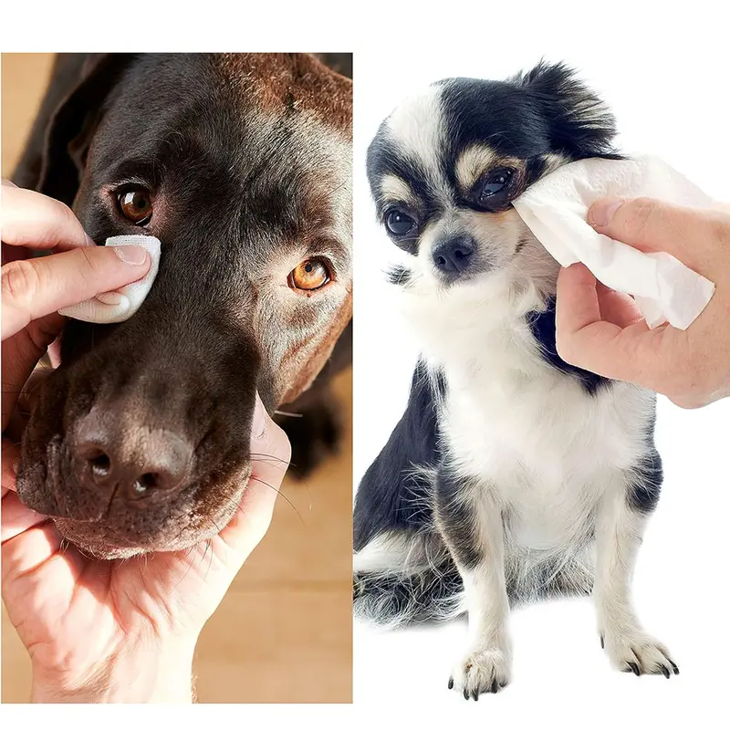 Pet Guru Dogs & Cats 100% Plastic Free Biodegradable Multi-Purpose Cleaning Pet Wipes Fiber Plant Based Alcohol Free Pet Dog Wipes 8