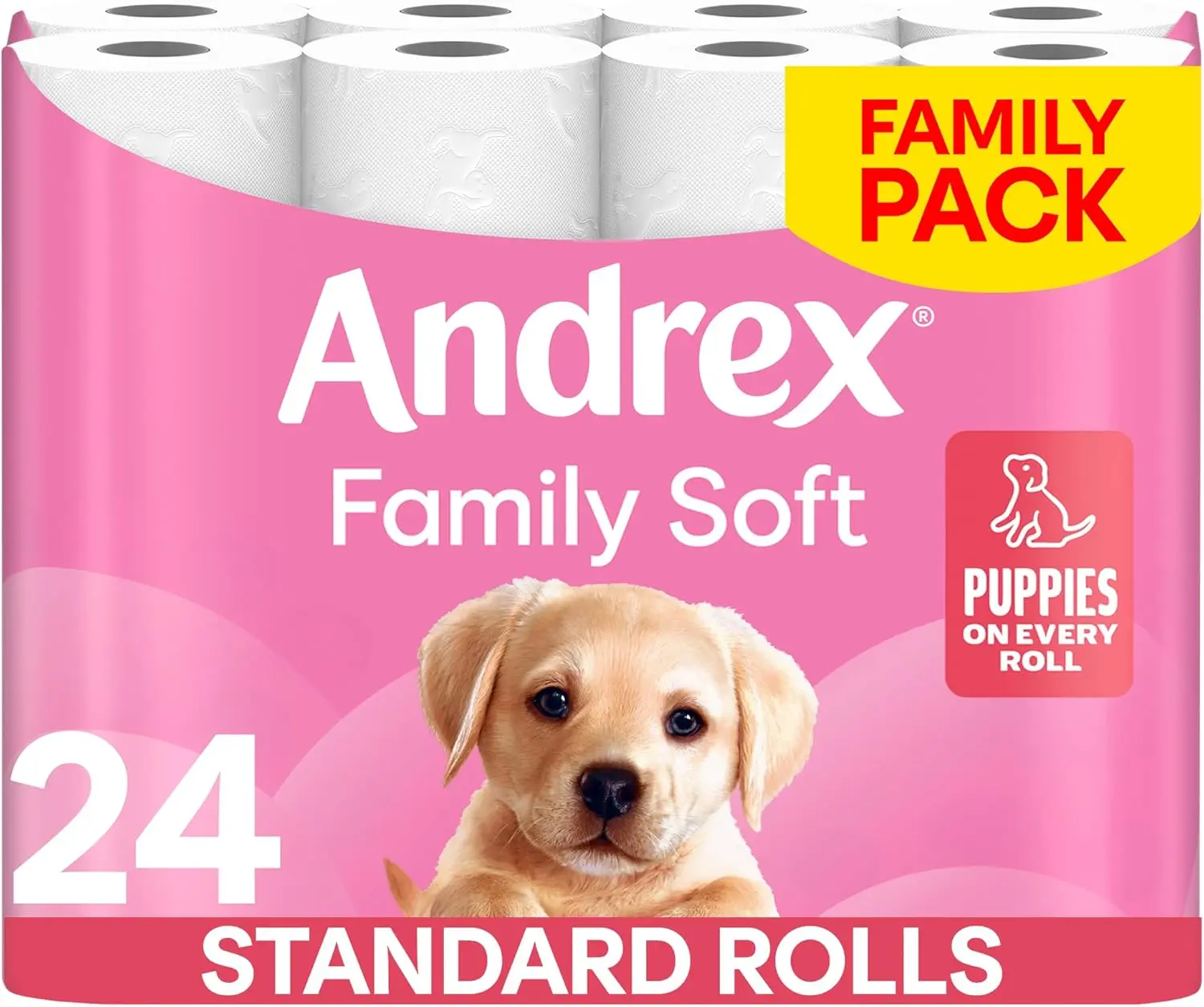 Family Soft Toilet Paper 24 Rolls (Previously Andrex Gentle Clean) Gentle on your Family’s skin– Pack of 24 Toilet Rolls