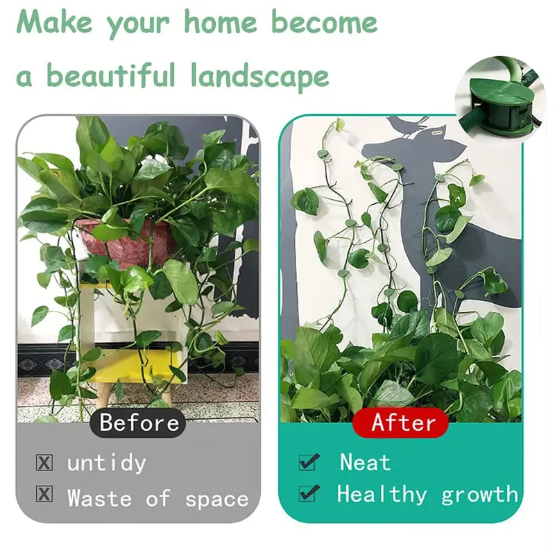 10PCS Climbing Plant Wall Clips Invisible Fixture Hook Clip Vine Sticky Vines 5