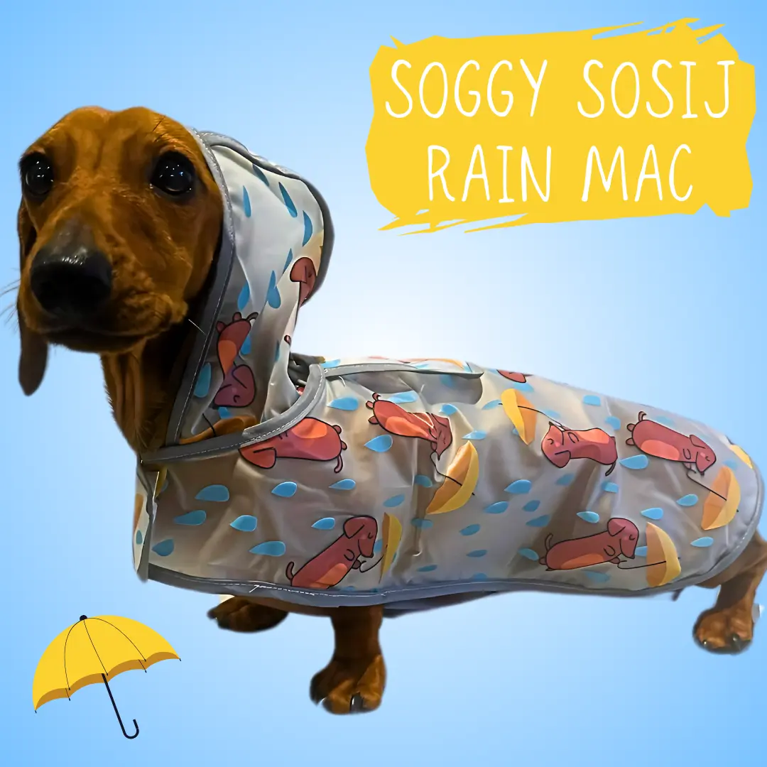 ‘Soggy Sausage’ Dachshund Waterproof Rain Mac/Coat With Hood