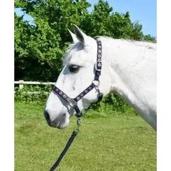 Rhinegold Aztec Headcollar and Rope Set