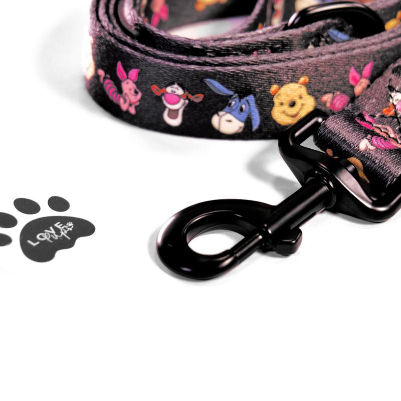 Winnie & Friends Lead 1