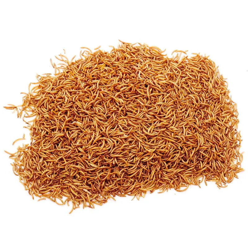 1.5Kg Tub of Chubby Dried Mealworms 3